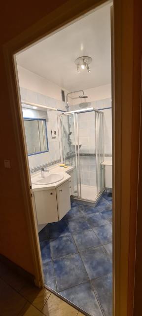 Location appartement T3 Lyon 8 - Photo 2