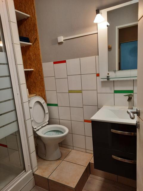 Location appartement T1 Nancy - Photo 3