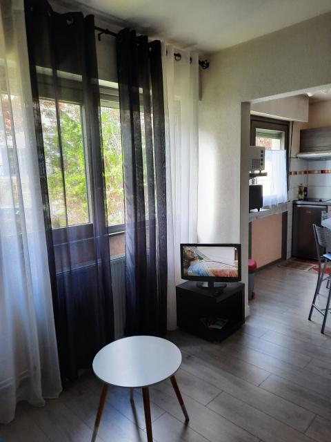 Location appartement T1 Nancy - Photo 4