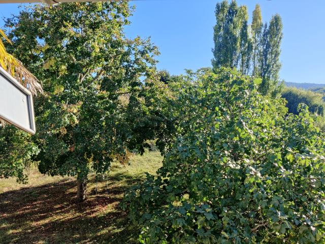 Location maison F6 Rieux de Pelleport - Photo 4