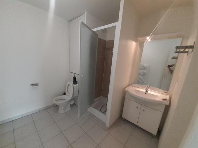 Location appartement T2 Lyon 8 - Photo 8