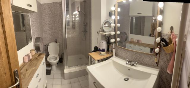 Location appartement T3 Grenoble - Photo 6