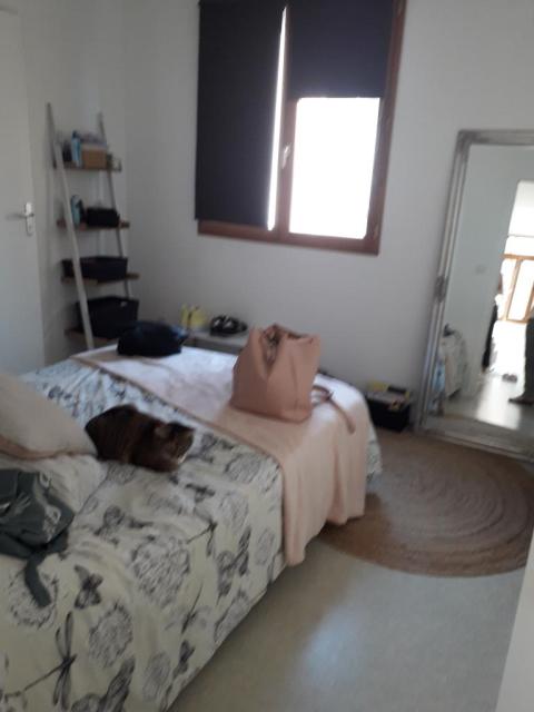 Location appartement T2 Amiens - Photo 2