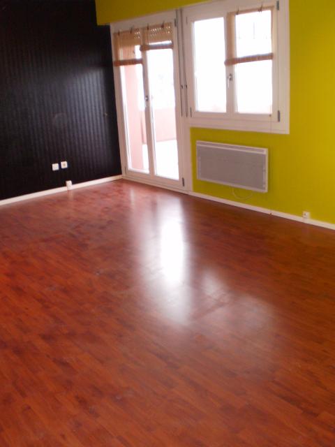 Location appartement T3 Schiltigheim - Photo 5