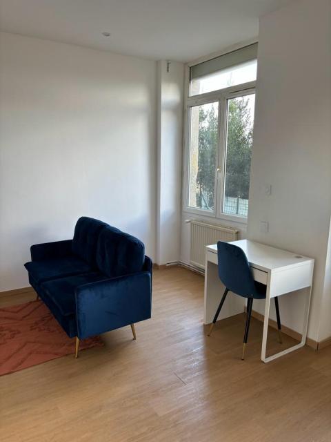 Location appartement T2 St Etienne - Photo 7