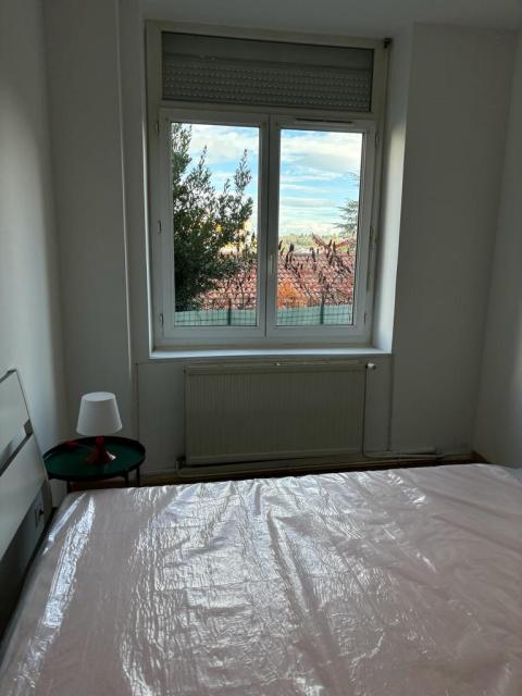 Location appartement T2 St Etienne - Photo 8