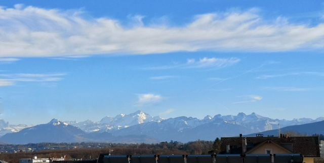 Location appartement T3 Ferney Voltaire - Photo 2