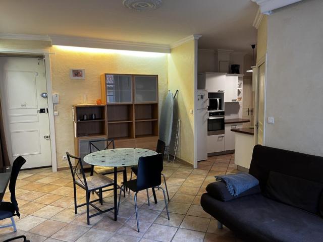 Location appartement T2 Lyon 1 - Photo 3