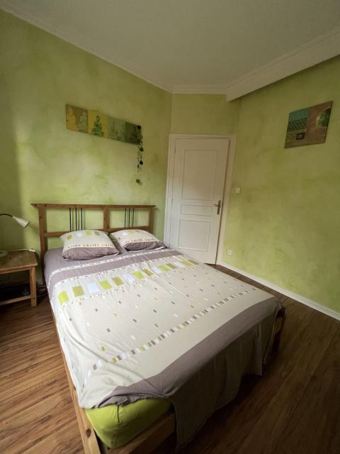Location appartement T2 Lyon 1 - Photo 7