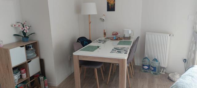 Location appartement T3 Strasbourg - Photo 2