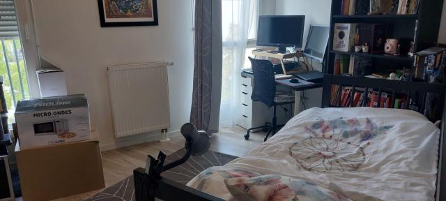 Location appartement T3 Strasbourg - Photo 3