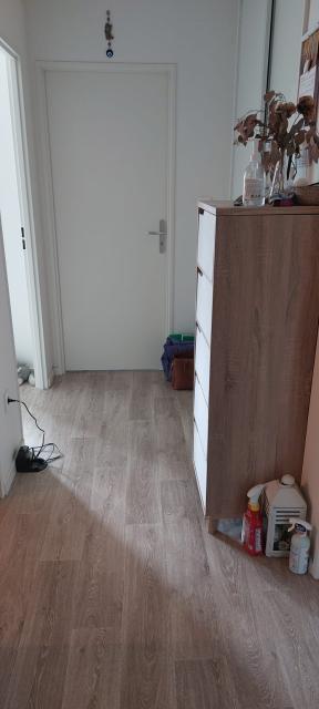 Location appartement T3 Strasbourg - Photo 4
