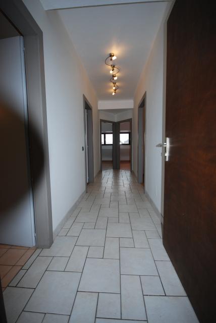 Location appartement T3 Sarreguemines - Photo 2