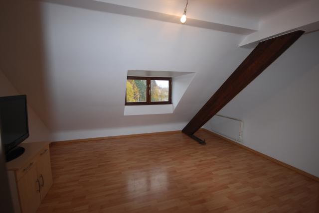 Location appartement T3 Sarreguemines - Photo 7