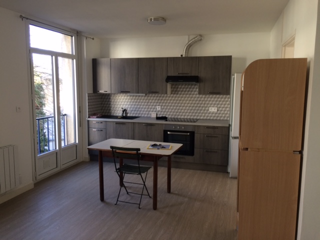 Location appartement T2 Nantes - Photo 3