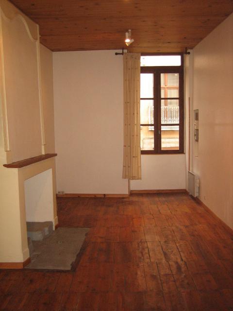 Location appartement T2 Grenoble - Photo 3