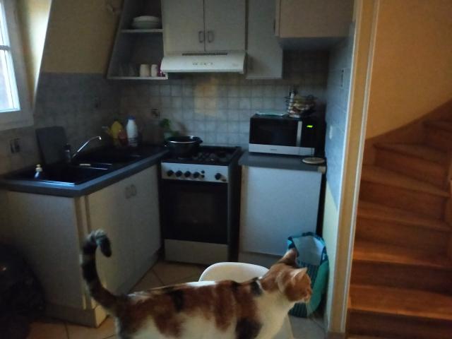 Location appartement T3 Limoges - Photo 8