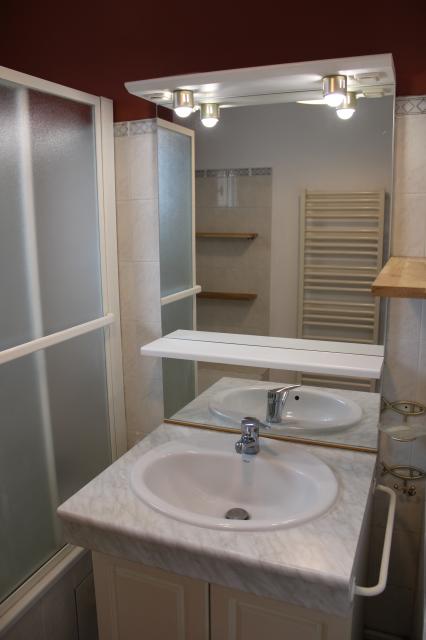 Location appartement T3 Grenoble - Photo 7