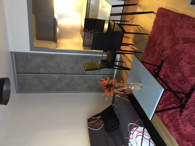 Location appartement T2 Grenoble - Photo 2