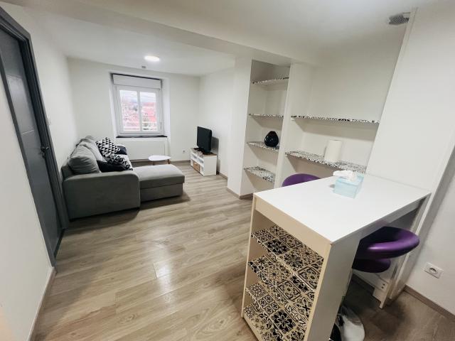 Location appartement T2 Montbeliard - Photo 4