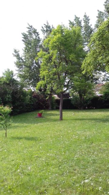 Location appartement T4 Truchtersheim - Photo 2