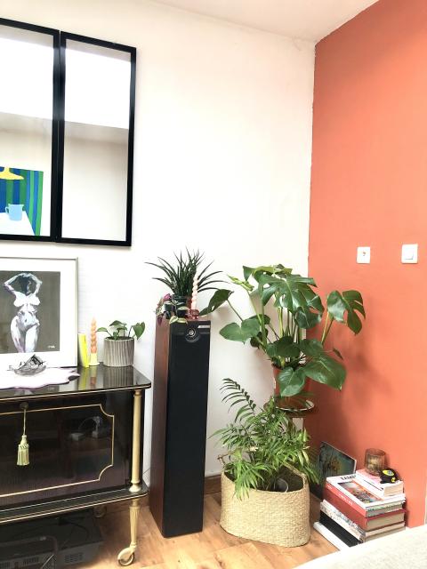 Location appartement T2 La Madeleine - Photo 9