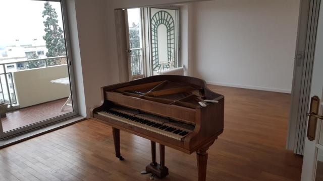Location appartement T3 Caluire et Cuire - Photo 3