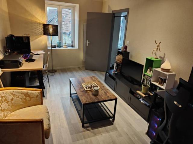 Location appartement T3 Brunstatt - Photo 2