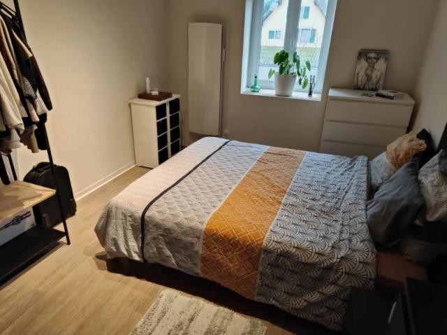 Location appartement T3 Brunstatt - Photo 3