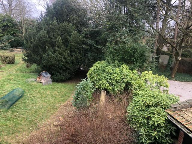 Location chambre Villeneuve d'Ascq - Photo 1