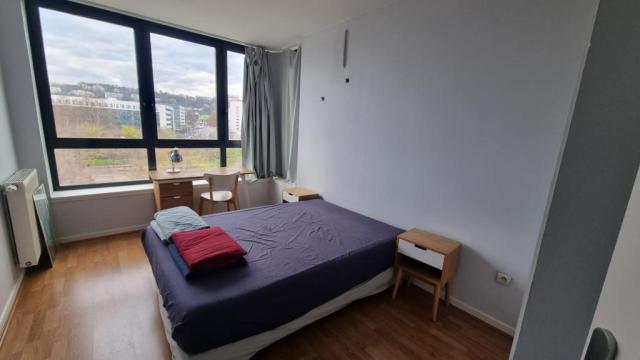 Location appartement T3 Lyon 7 - Photo 2