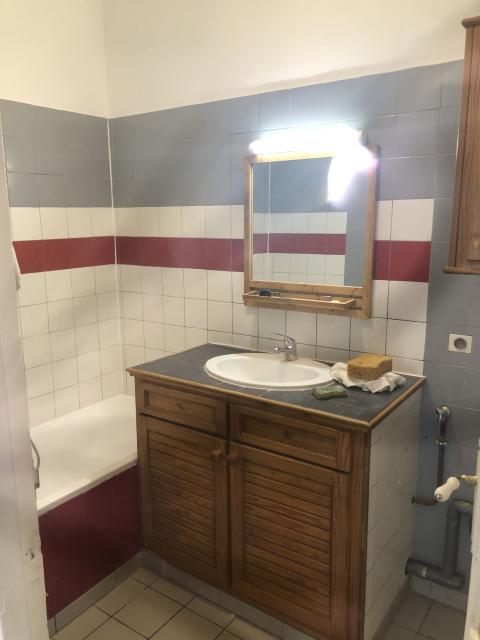 Location appartement T2 Paris 19 - Photo 4