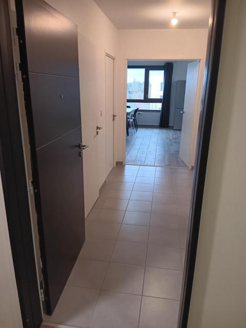 Location appartement T3 Viry - Photo 6