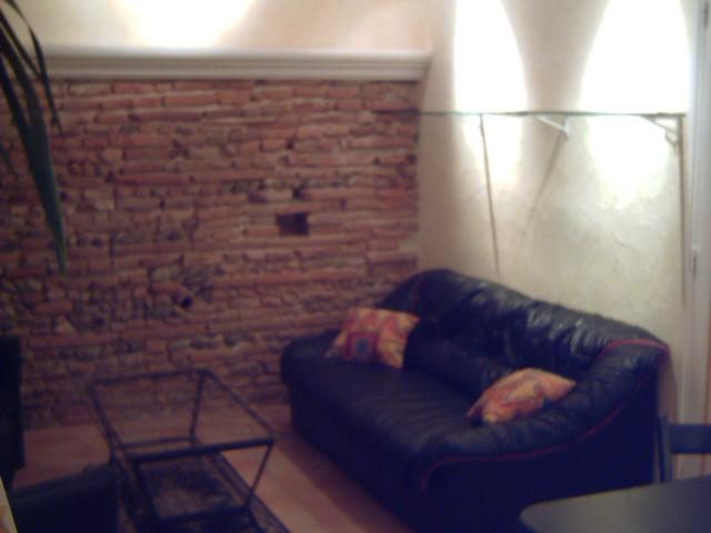 Location appartement T2 Toulouse - Photo 3