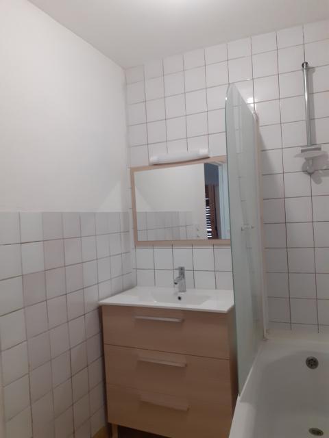 Location appartement T3 Ars sur Moselle - Photo 3