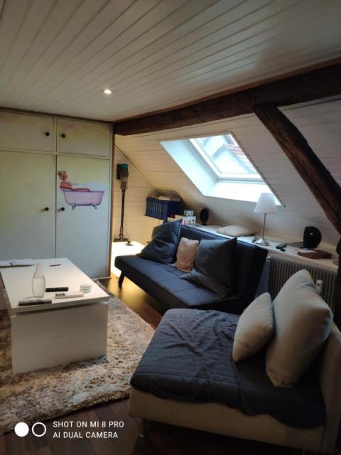 Location studio Schiltigheim - Photo 2