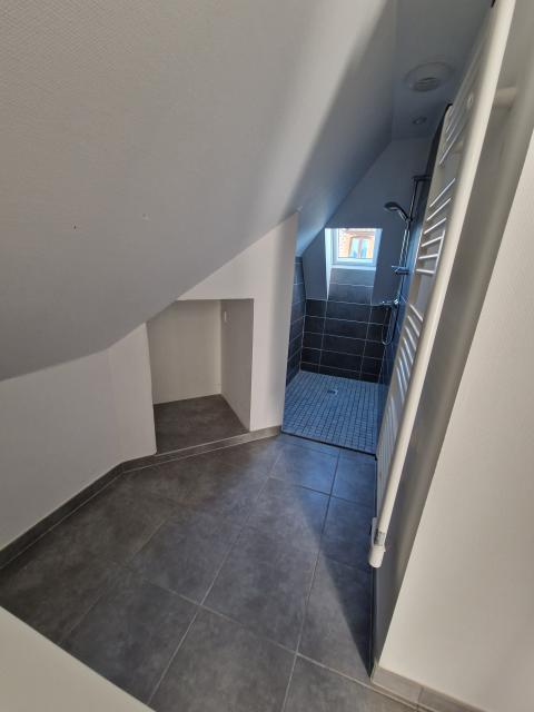 Location appartement T5 Selestat - Photo 5