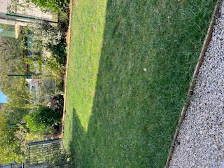 Location appartement T2 Divonne les Bains - Photo 2