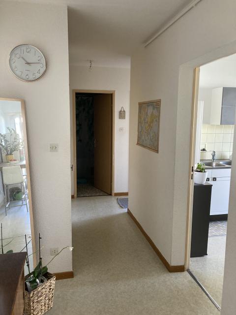 Location appartement T2 Horbourg Wihr - Photo 3