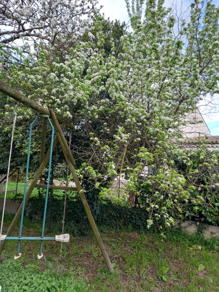 Location chambre Carcassonne - Photo 4