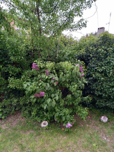 Location chambre Carcassonne - Photo 6