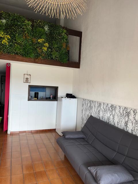 Location appartement T2 Agde - Photo 4