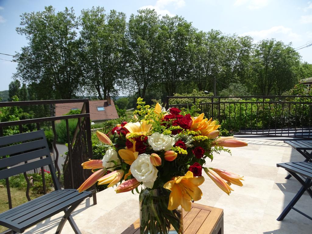 Location chambre Jouy en Josas - Photo 2
