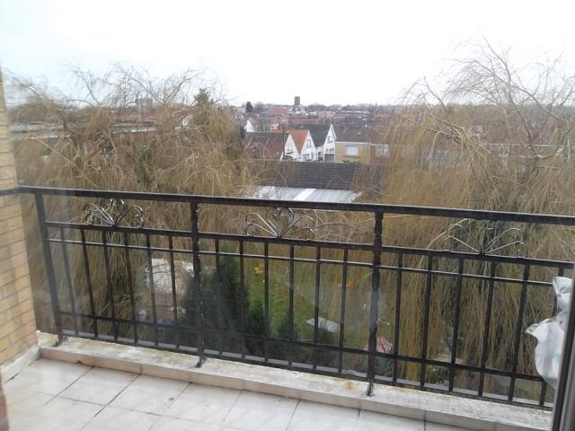 Location appartement T3 Faches Thumesnil - Photo 5