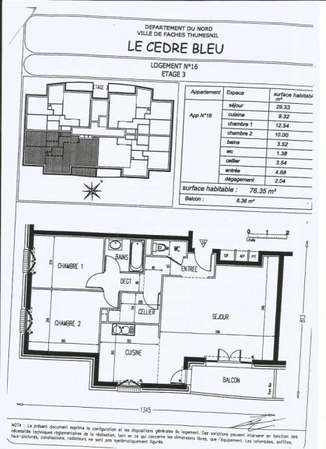 Location appartement T3 Faches Thumesnil - Photo 6
