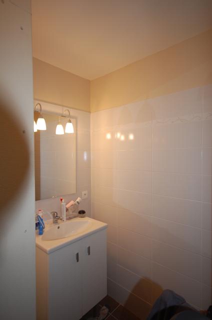Location appartement T2 Romans sur Isere - Photo 6