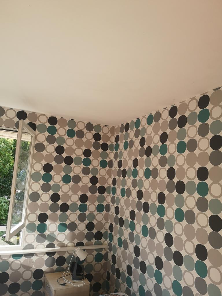 Location chambre Rennes - Photo 1