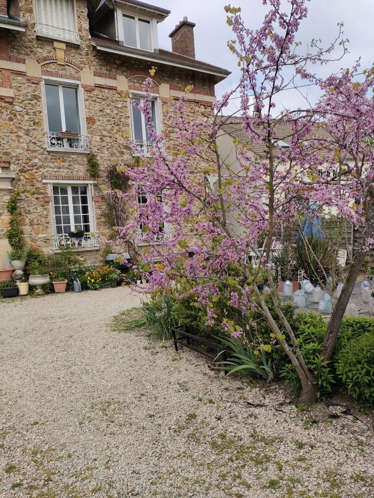 Location chambre St Remy les Chevreuse - Photo 1