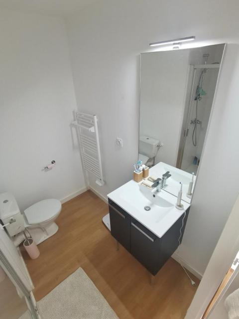 Location appartement T2 Cesson Sevigne - Photo 5