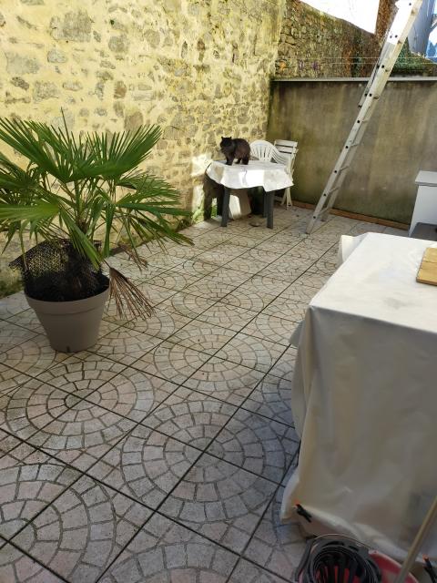 Location appartement T3 Limoges - Photo 9